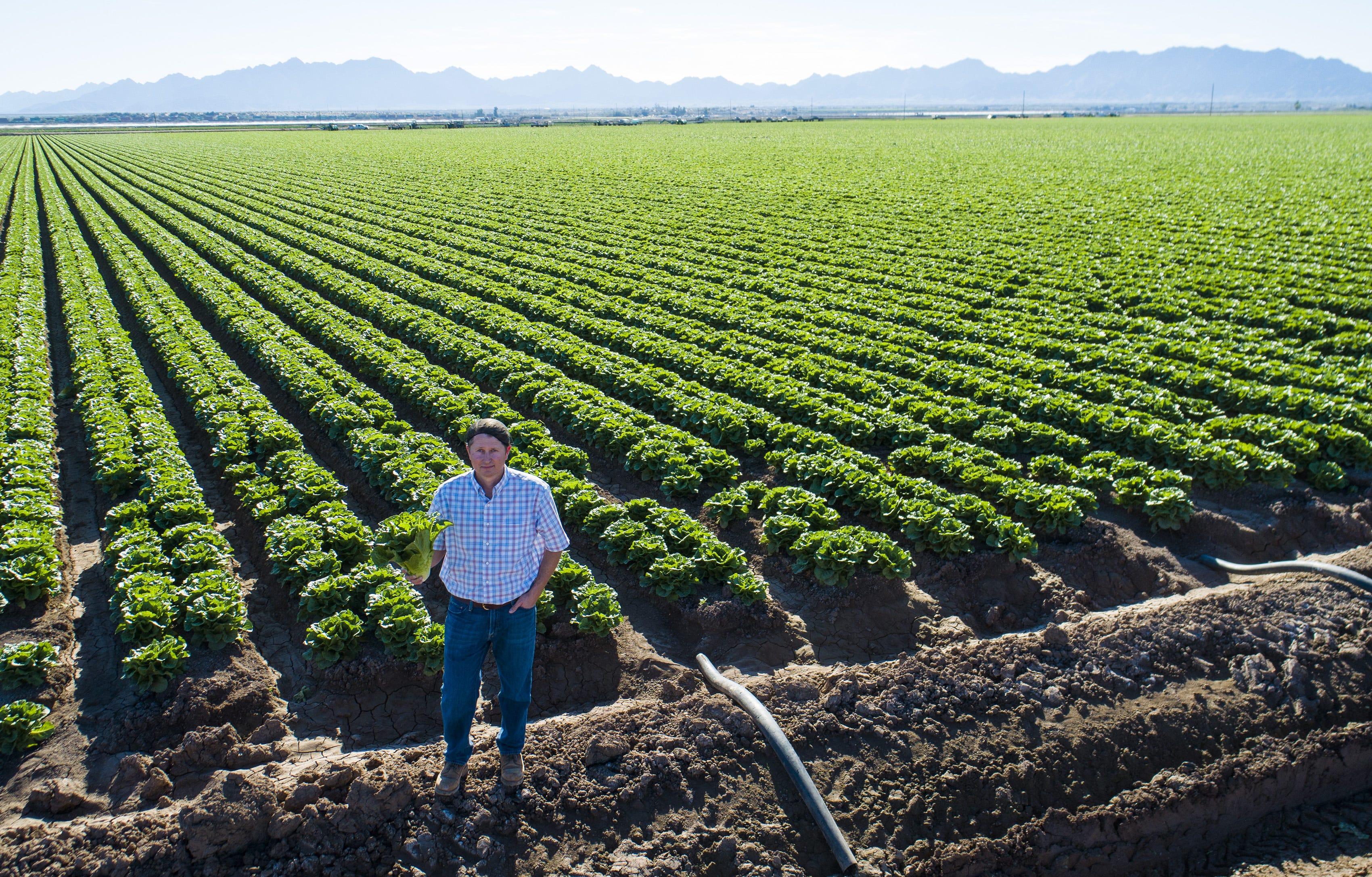 John Boelts, vice president of the Arizona Farm Bureau, says Arizona farms produce 130 million servings of leafy greens every day. "The same lettuce I serve to my customers is the same lettuce I serve to my family."
