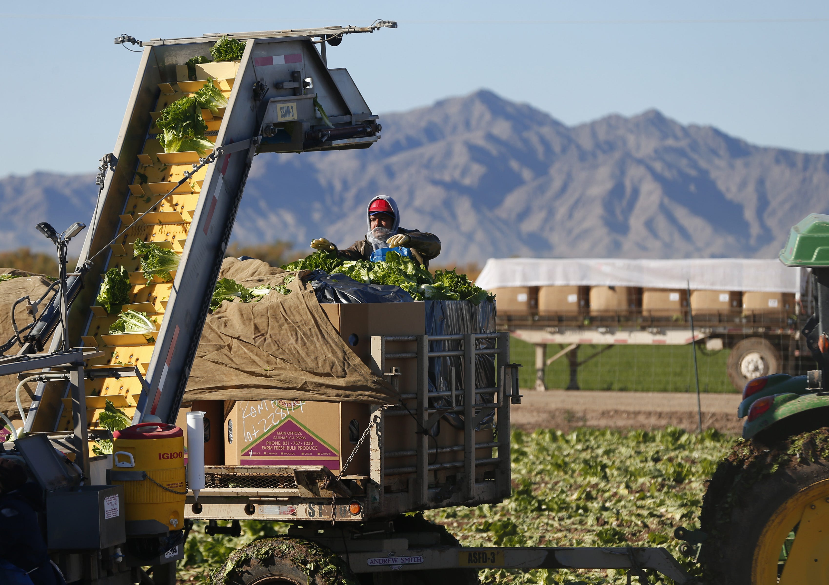The Yuma-area growing community is fearful of FDA investigations because farm owners say they are incomplete and unreliable. The FDA says it's protecting consumers.
