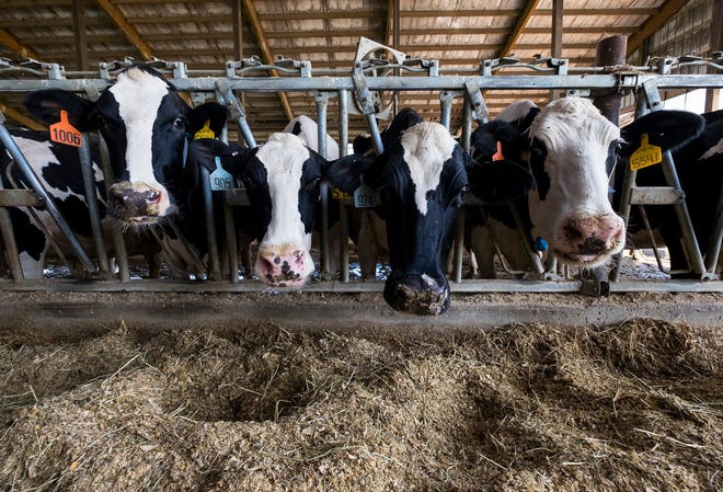 In an effort to obtain the most accurate data, NASS will be contacting more than 30,000 producers nationwide, including 1,400 in Wisconsin, between January and April.