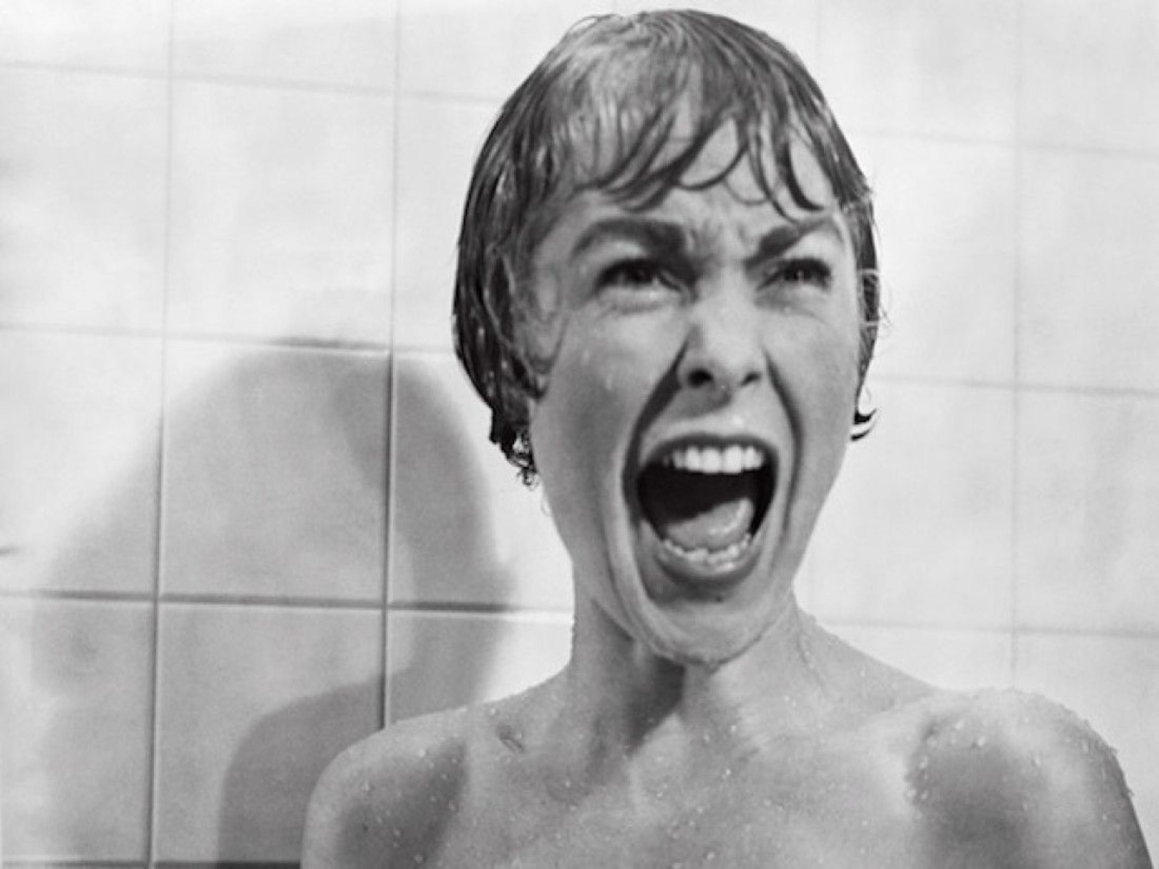 Janet Leigh screams in an iconic scene from Alfred Hitchcock's classic "Psycho." The book was based on the novel of the same name by Wisconsin author Robert Bloch.