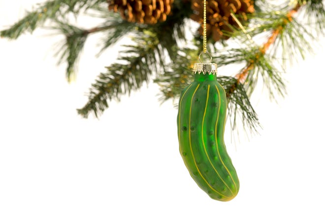 The Christmas pickle is hidden on the tree on Christmas Eve. The tree’s green pine needles make it especially hard to find on Christmas morning. The person who does gets a special treat.