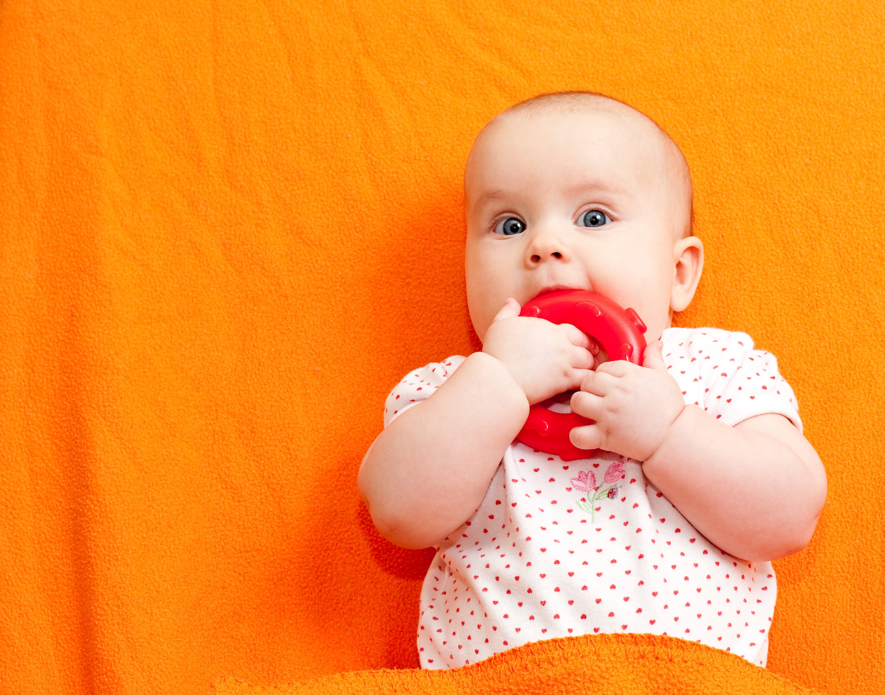 amber teething necklace fda
