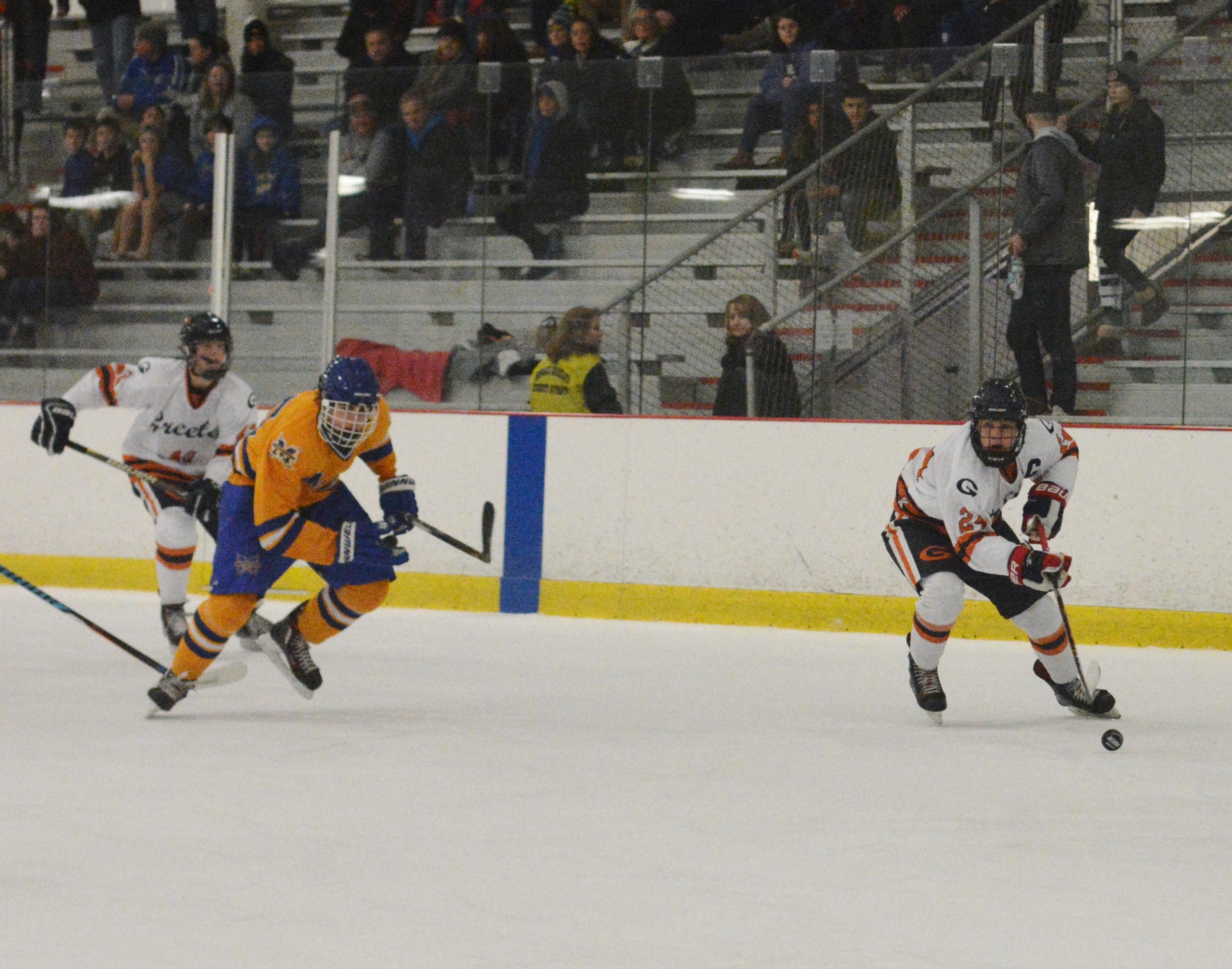 Hockey Vote for the lohud player of the week