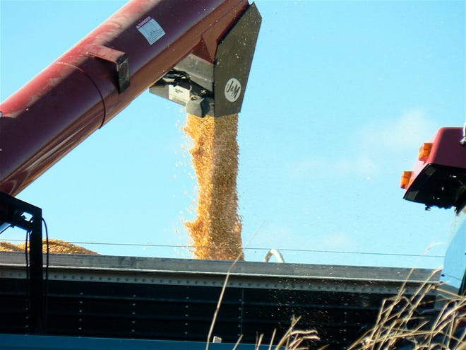 Corn is king again as planting estimates for soybean acreage fall.