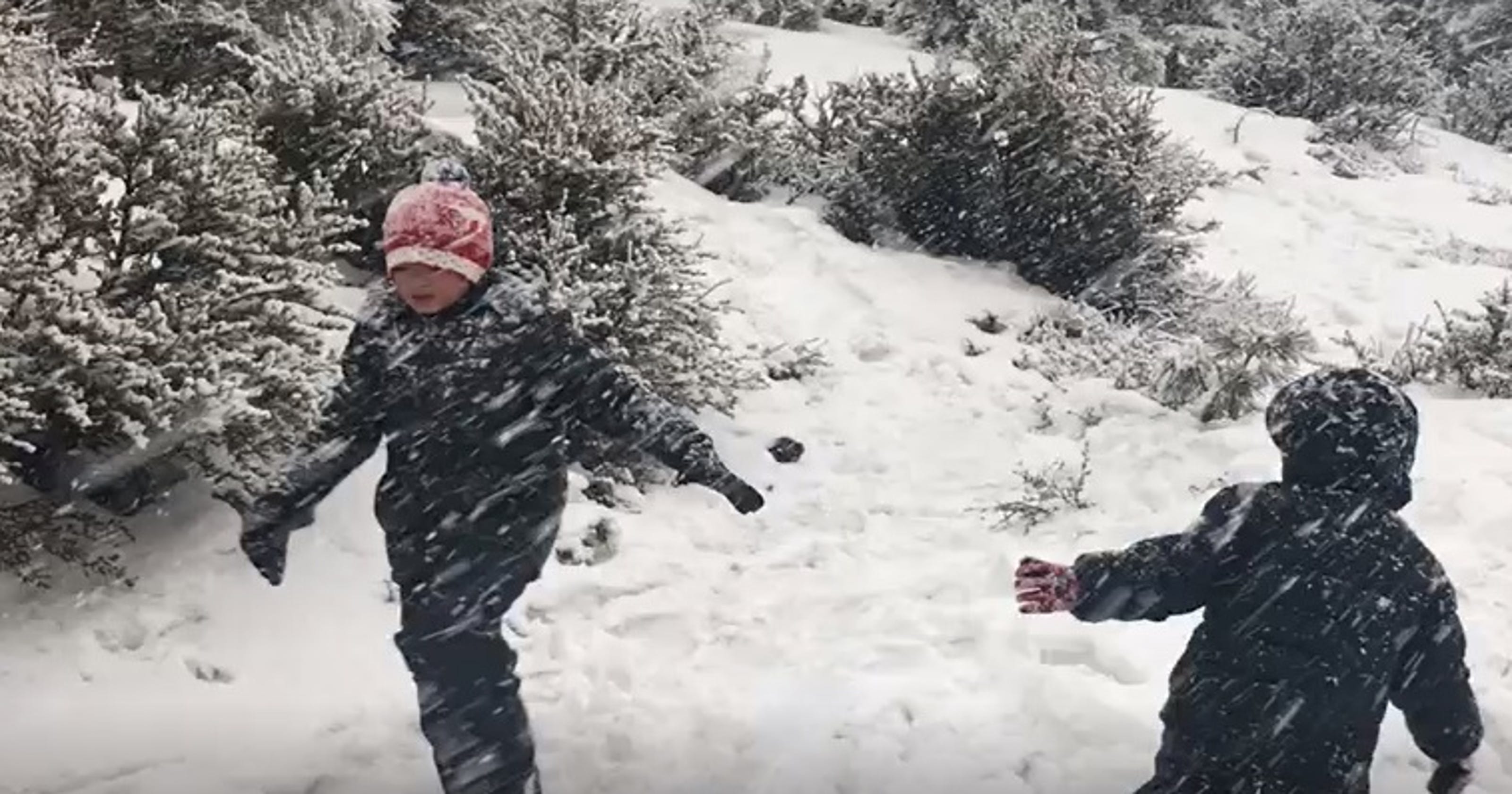 Reno forecaster Winter storm to drop snow, rain