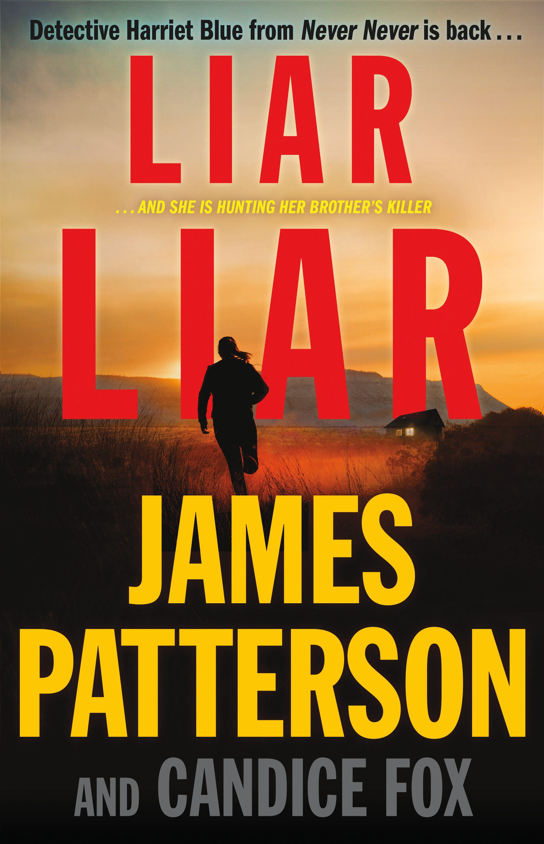 james patterson most famous books