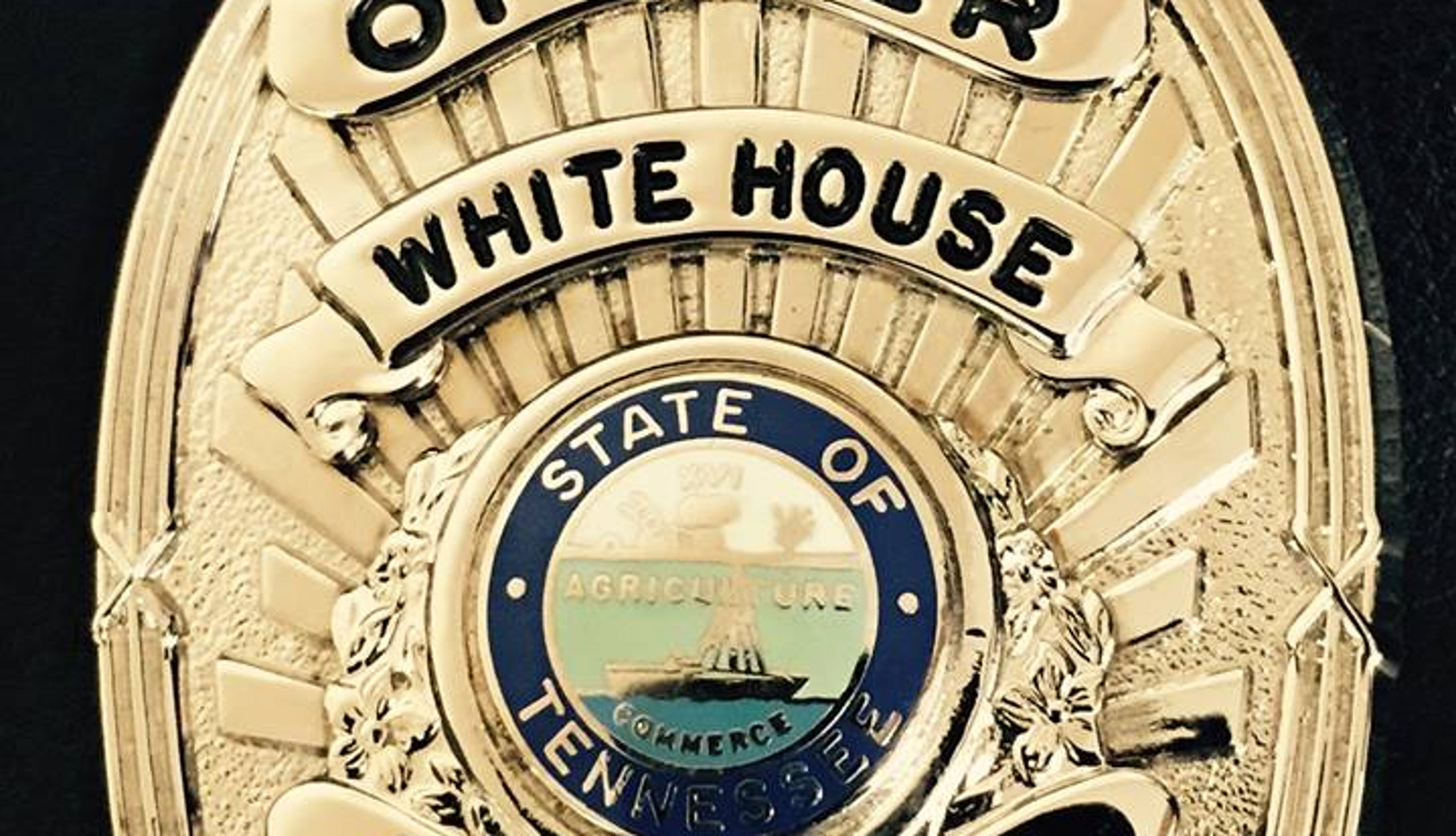 opinion you are mistaken