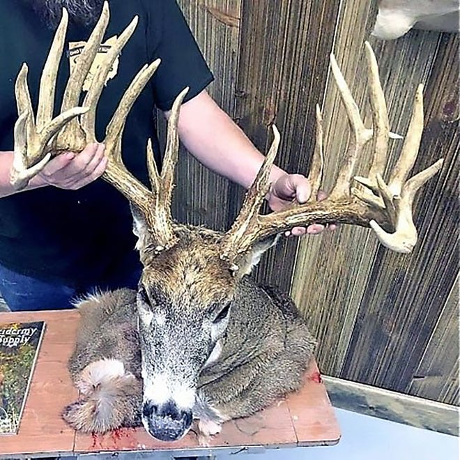 Junior Troyer of Millersburg, Ohio, was fined more than $28,000 for poaching a 26-point buck Nov. 7, 2018, in Coshocton County, Ohio. Troyer had shot an 8-point buck earlier in the day and later shot the larger buck.