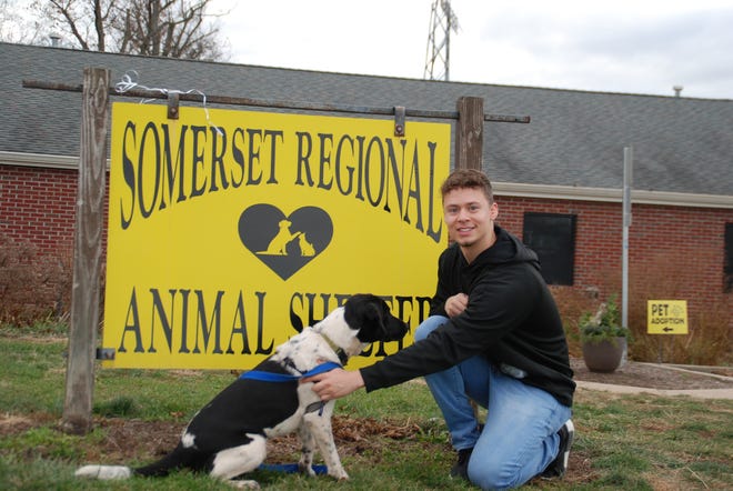 RVCC service learning student Andrew Arce of Raritan helps with a dog as he volunteers at the Somerset Regional Animal Shelter.