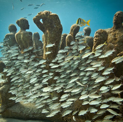 This is the Underwater Museum in Cancun, one of...