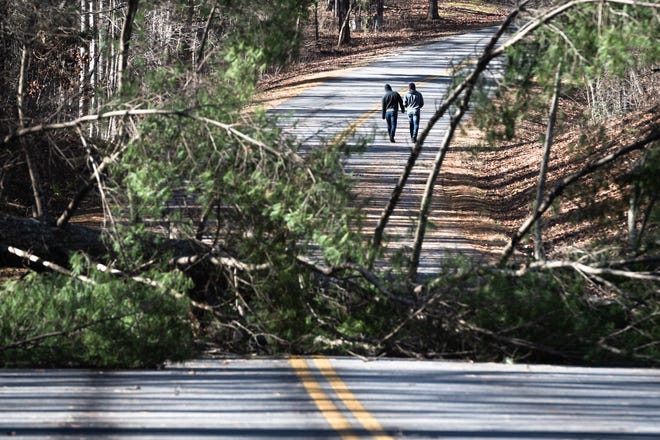 A couple visitors to the Blue Ridge Parkway walk past a fallen tree just north of the Folk Art Center Jan. 5, 2019. Much of the Parkway has been closed due to the government shut down and maintenance such as clearing debris is not possible.