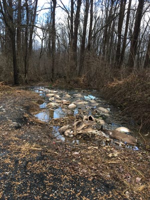In this January 1 photo, deer float in a game commission pit south of Colebrook.