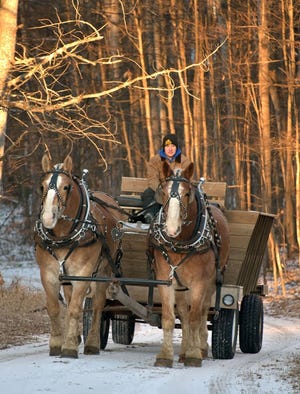 The horse-drawn Wilderness Sleigh Ride takes guests along snow trails with a stop for dinner in the woods.