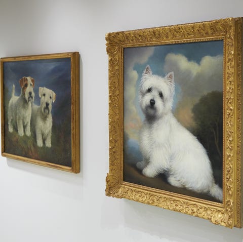 The new Museum of the Dog will house art from...