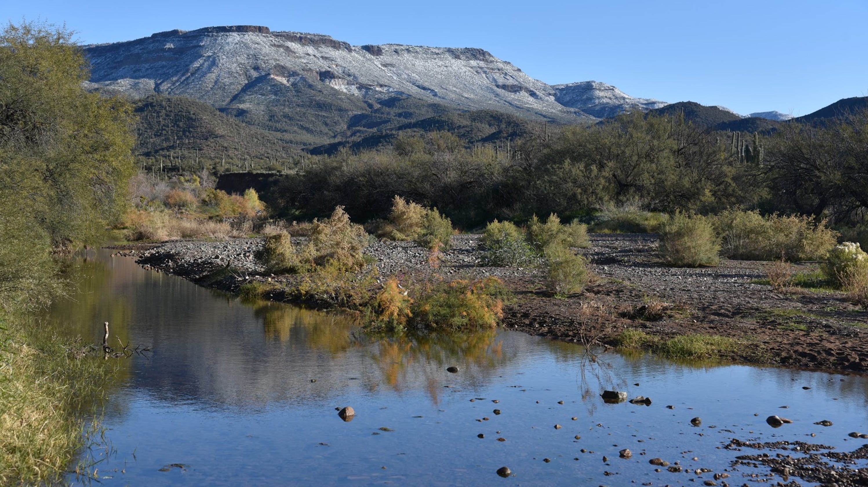 Phoenix hike Spur Cross Ranch Conservation Area