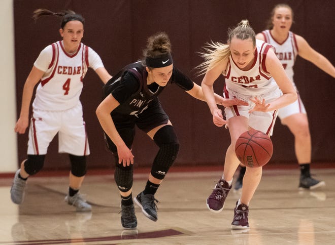 Cedar High School sophomore Samantha Johnston (33) steals the ball from Pine View at CHS Tuesday, January 8, 2019. Cedar remains undefeated with a 63-40 win over the Panthers.