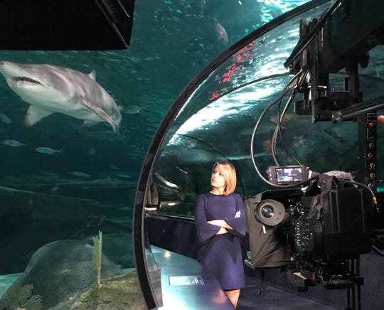 Nbc S Earth Odyssey Spotlights Ripley S Aquarium Of The Smokies nbc s earth odyssey spotlights ripley
