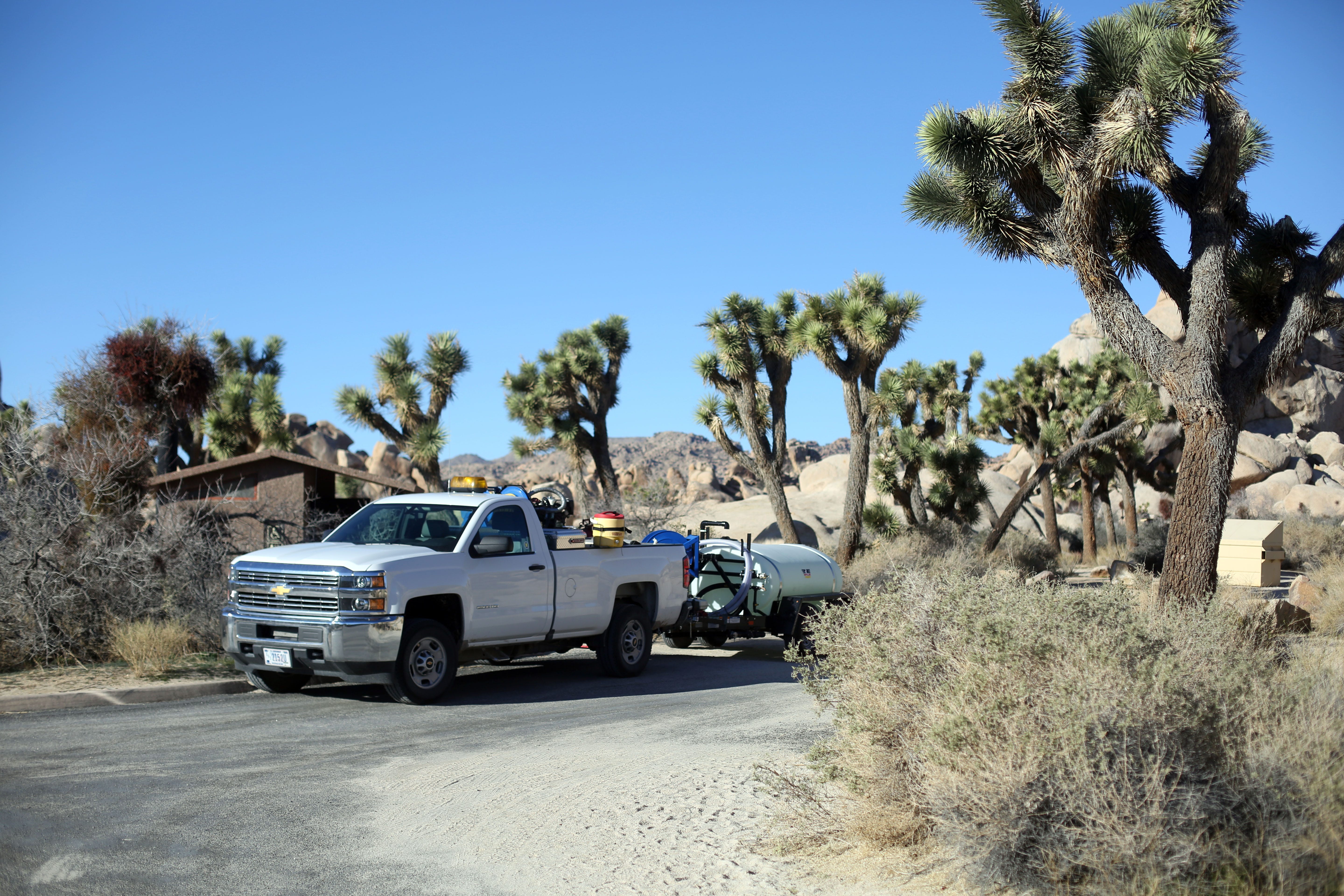 Shutdown no excuse for outlandish Joshua Tree National Park vandalism