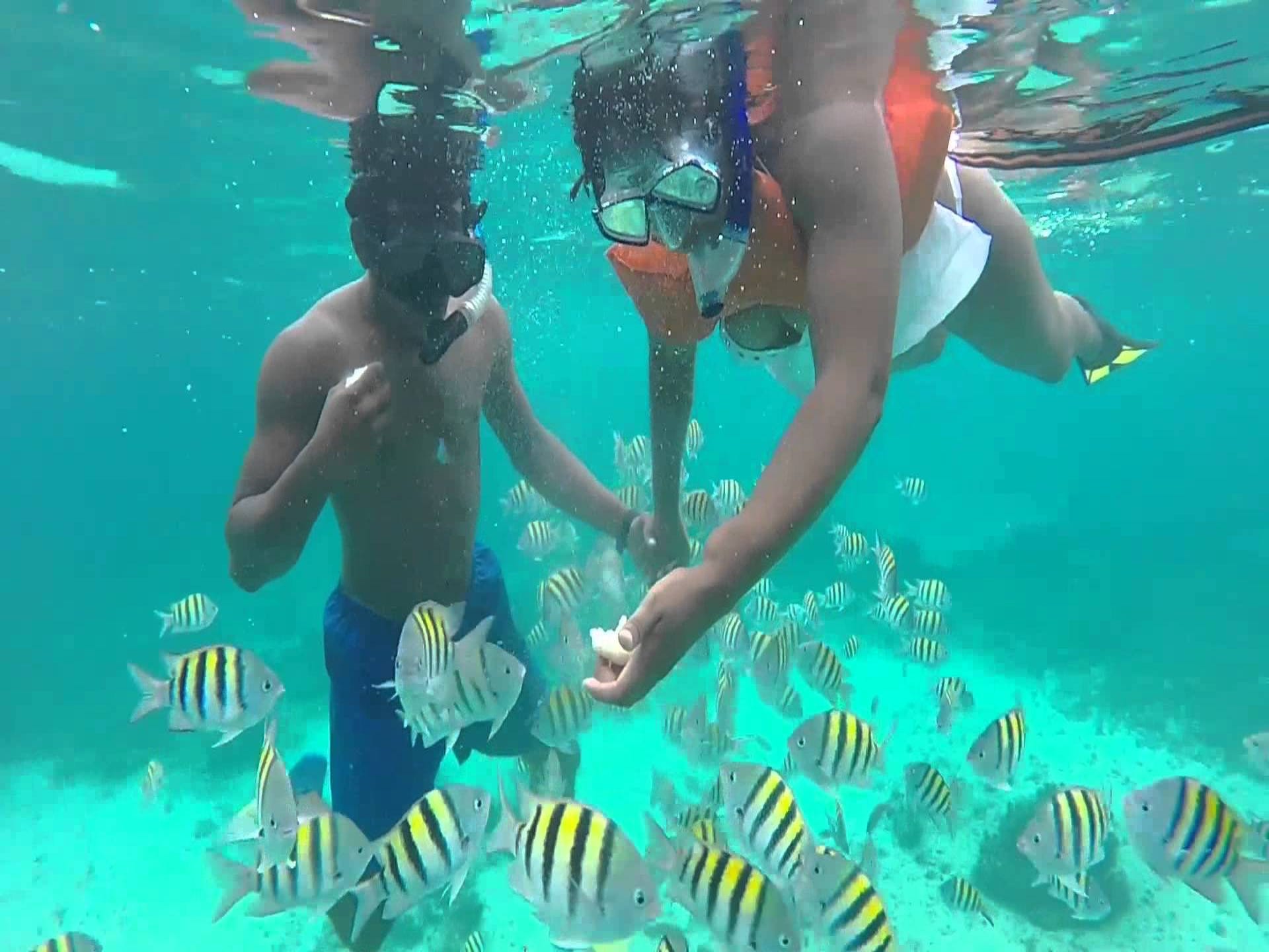 A small island offshore from Negril in Jamaica, Booby Cay is also one of the best spots for snorkel newbies who might not be up to venturing into deeper waters.