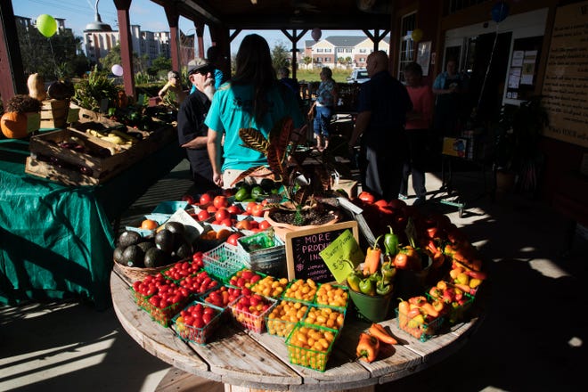 Plenty of fresh produce is available at the Sunflower Discount Surplus Market on Hancock Bridge Parkway in North Fort Myers.