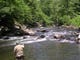 Carl Penird of Marion, Ind., enjoys a day of trout fishing on the Little River inside the Great Smokey Mountains National Park. The Little River will be the beneficiary of a fund-raising event called Troutfest Saturd and Sunday, June 5-6, at the Townsend Visitors Center. Penird is retired from the electronics industry and stopped off for a little fishing en route to a wedding in Virginia. On this day Penird caught about a half-dozen trout. Two of those he called "keepers," but he released them anyway.