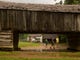 A barn and out buildings at the Greg-Cable house, and Grist mill in Cades Cove Wednesday, June 25, 2014
Sevierville businessman offers biplane rides.(J. MILES CARY/NEWS SENTINEL)
