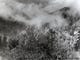 The Great Smokey Mountains, October, 1960.