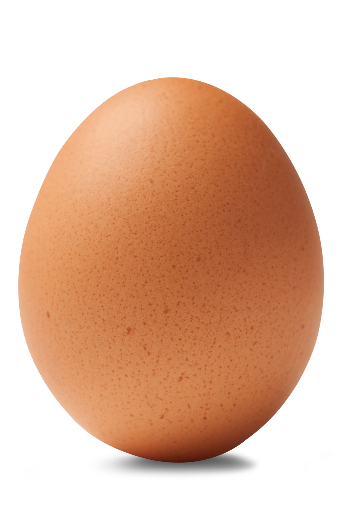 Яйцо картинка. Яйцо. Куриные яйца. Яйца кур. Яички куриные.