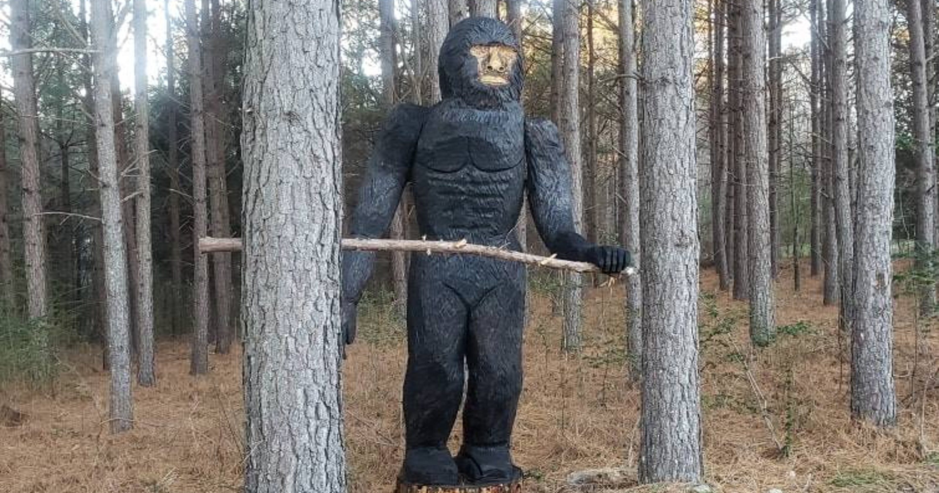 Bigfoot sightings in North Carolina? No, it was a statue not Sasquatch
