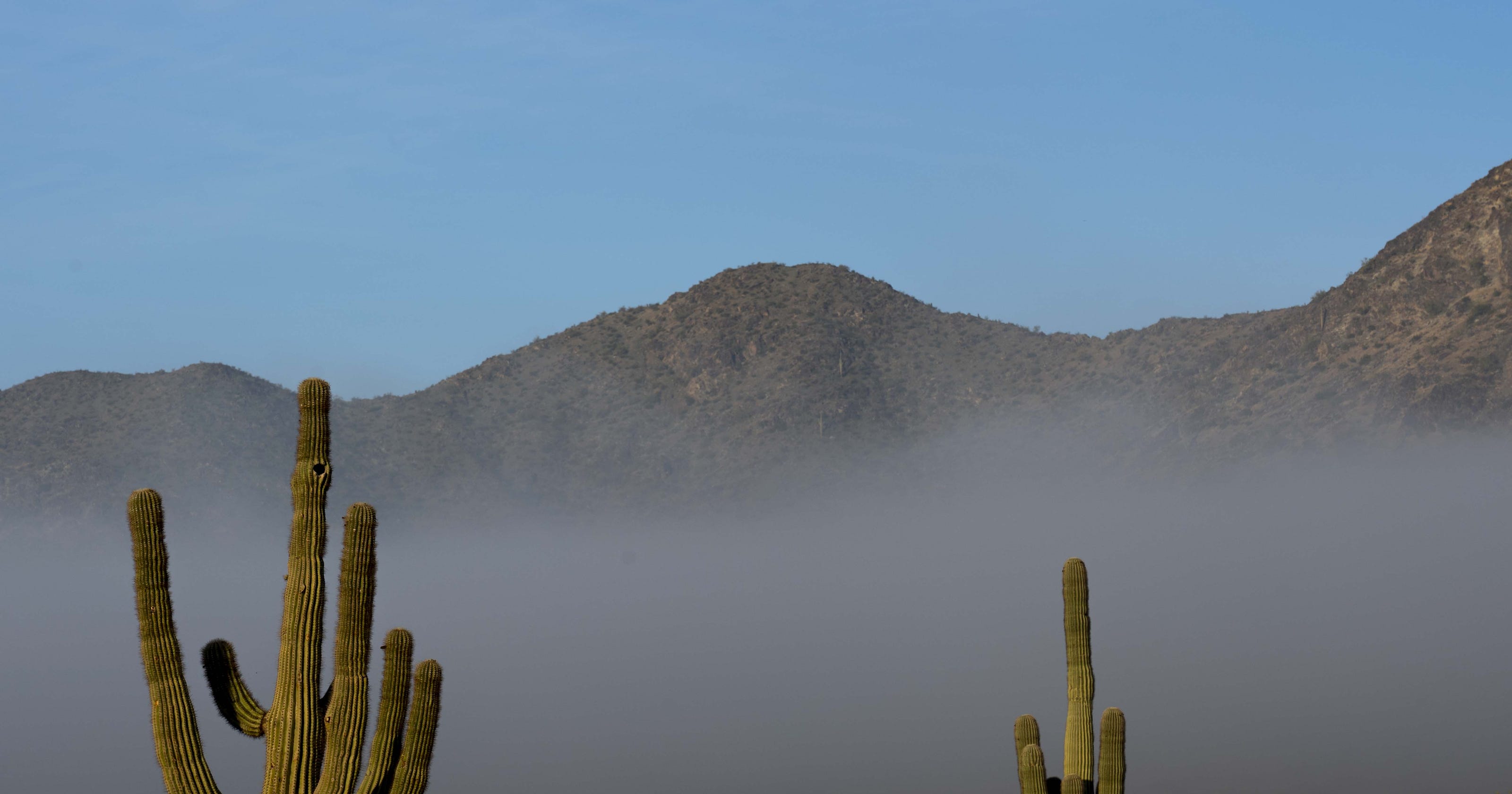 Arizona weather Light rain for Phoenix and possible snow in Flagstaff