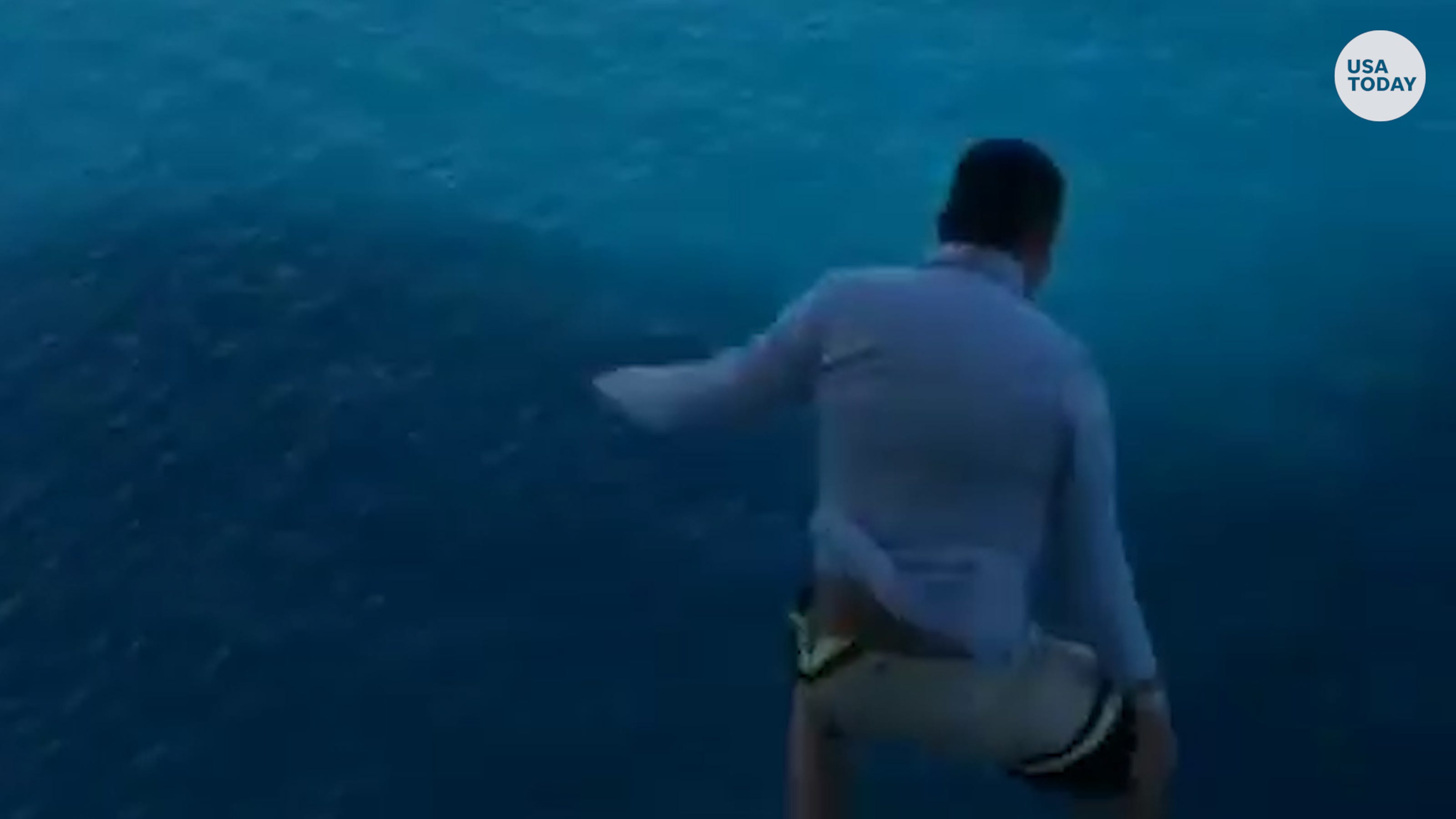 Man banned from Royal Caribbean after jumping off cruise ship