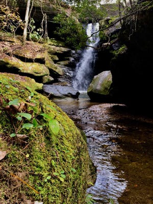 A waterfall plunges into the gorge at Dismals Canyon in Alabama.