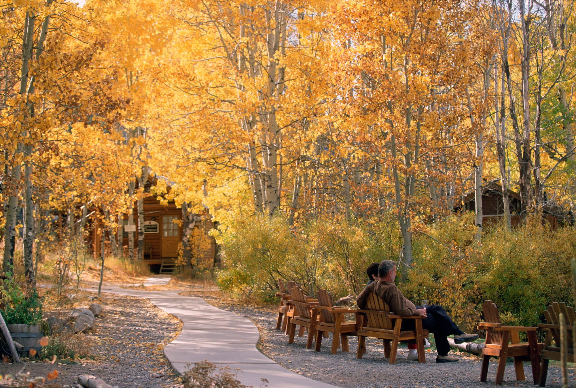 When will fall colors peak in Washoe County and the Eastern Sierra?