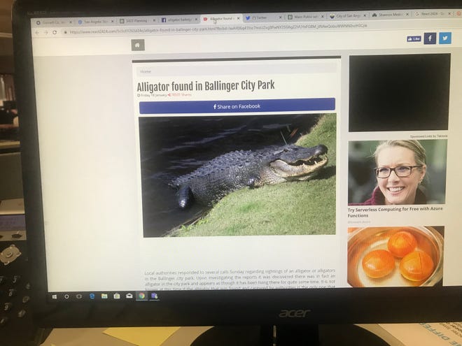 A story about an alligator found in Ballinger City Park floats around the internet Friday, Jan. 18, 2019.