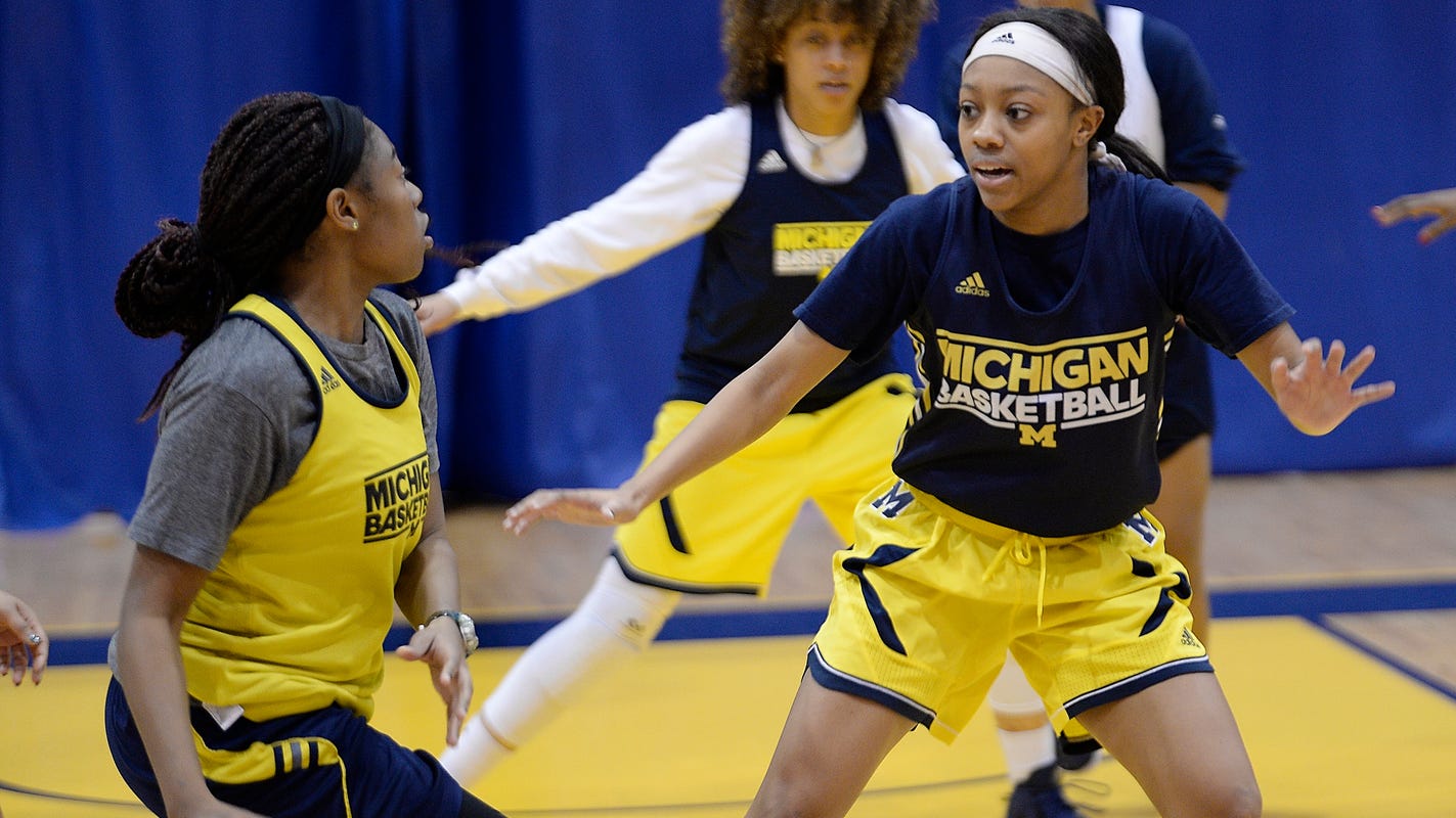 Transfers Give Michigan Dearborn Women New Life In Turnaround Season