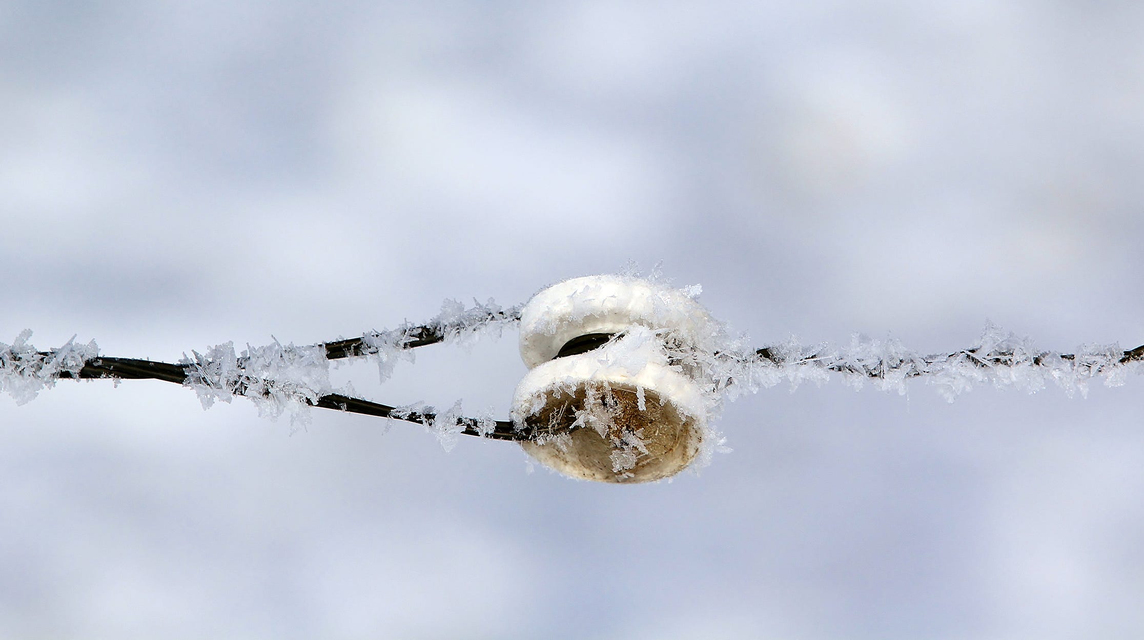 What S The Difference Between Rime Ice And Hoar Frost What S The Difference Between Rime Ice And Hoar Frost