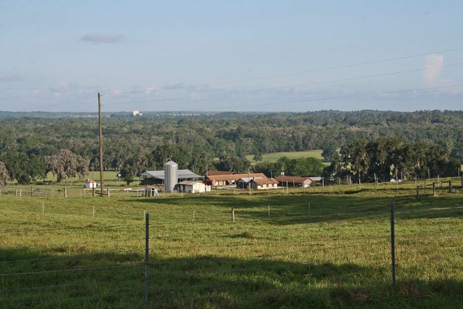 Florida A&M University is exploring a proposal by Duke Energy Florida to build a solar farm at its 3,800-acre farm in Brooksville.