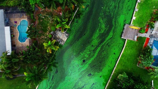 An aerial view of a toxic algae bloom is shown flowing into a canal in Cape Coral during the summer of 2018.