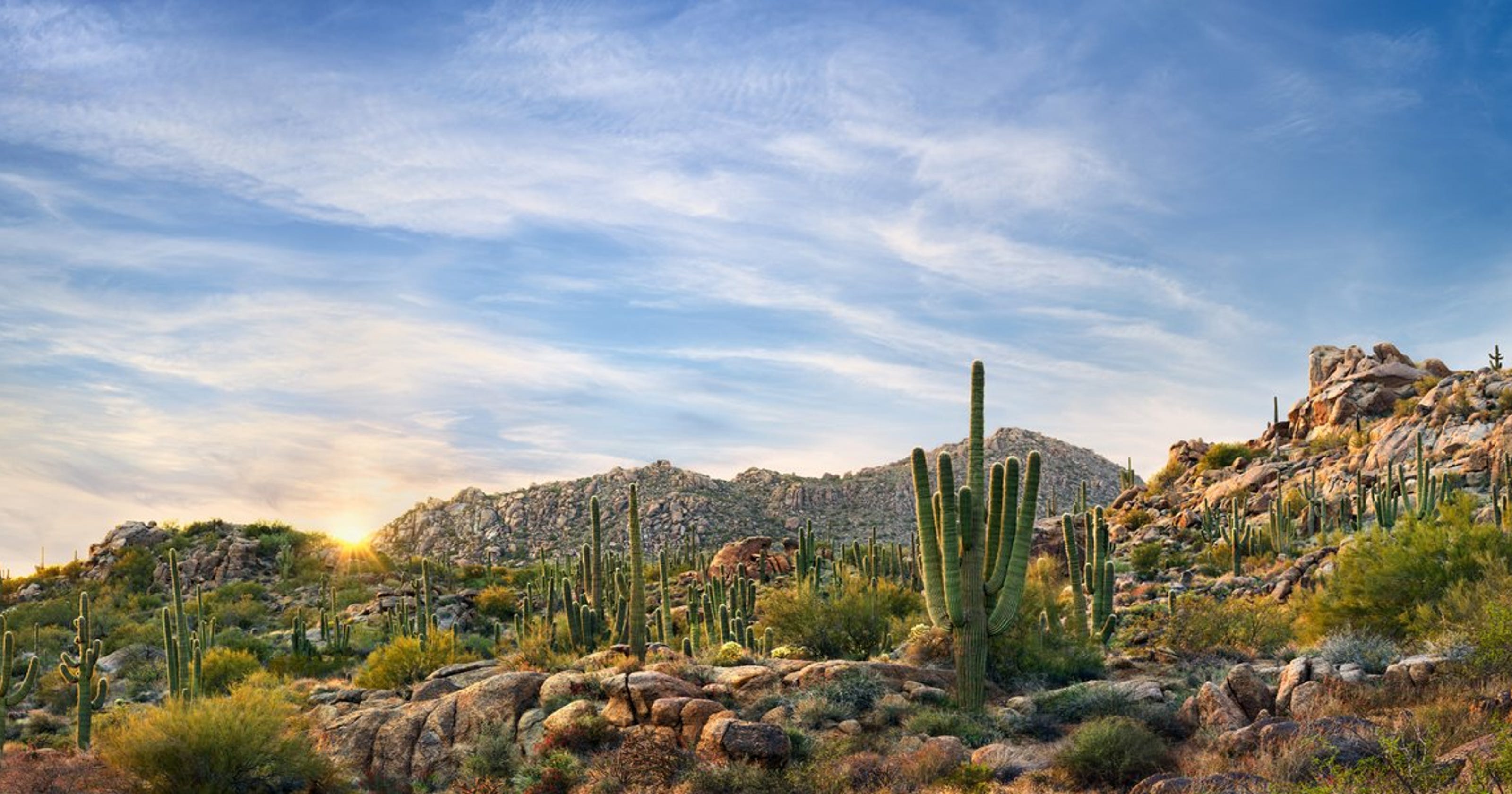 5 amazing reasons to escape to Scottsdale this winter