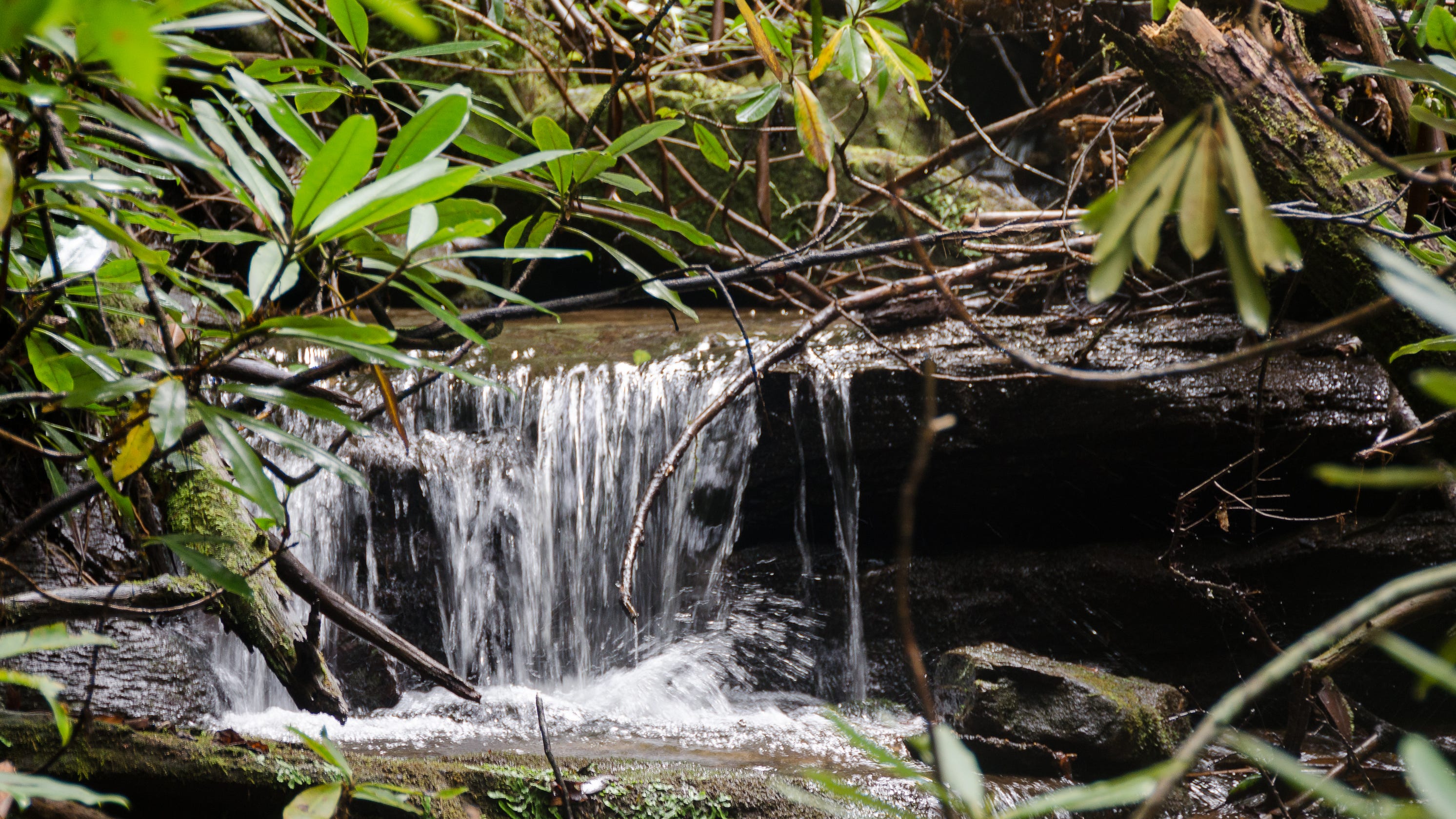 Bobs Creek State Natural Area in McDowell County moves closer to reality