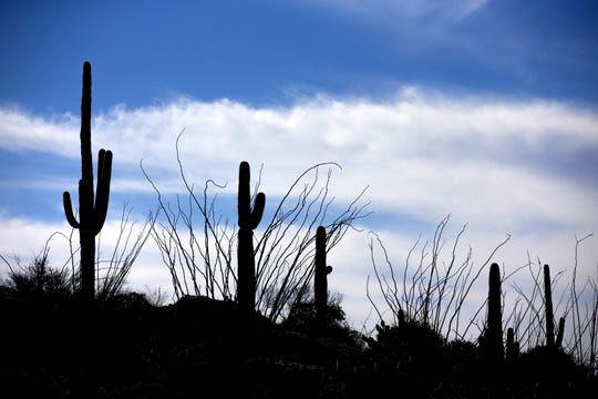 Saguaro National Park Open During Shutdown As Parks Tap Past