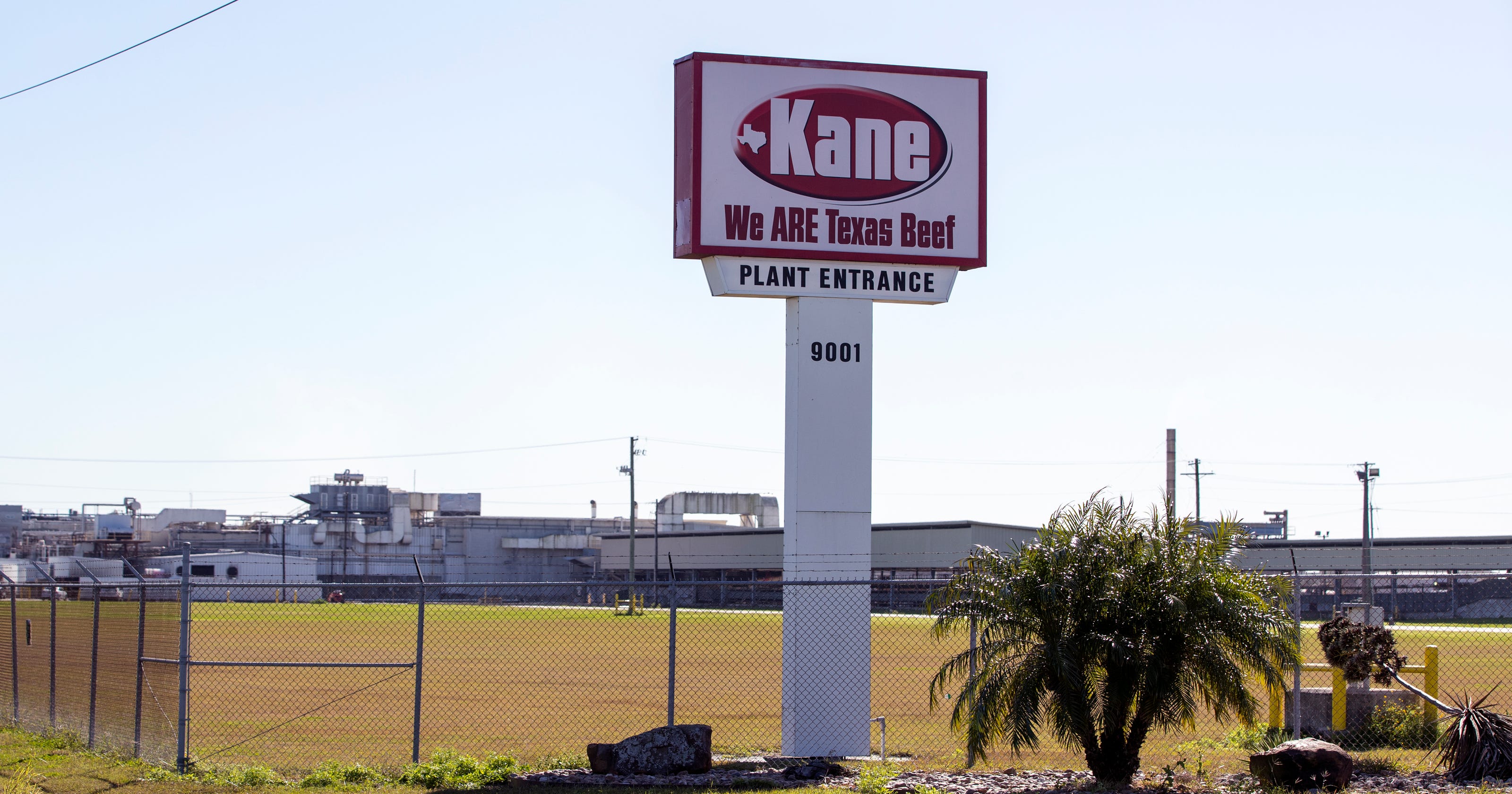 Kane Beef Plant Sale Closes New Owner Pledges To Restart Operations