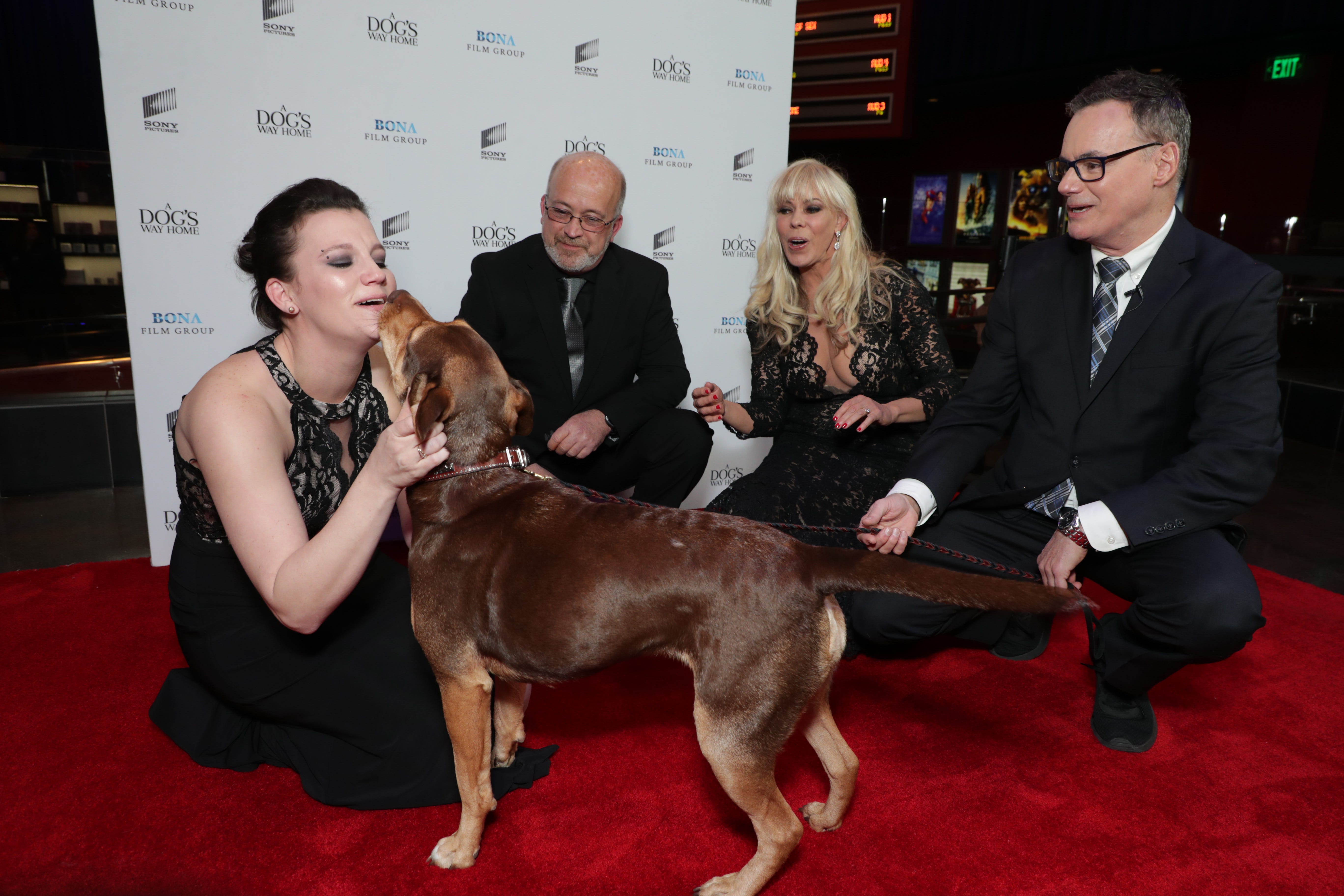 a dog's way home premiere
