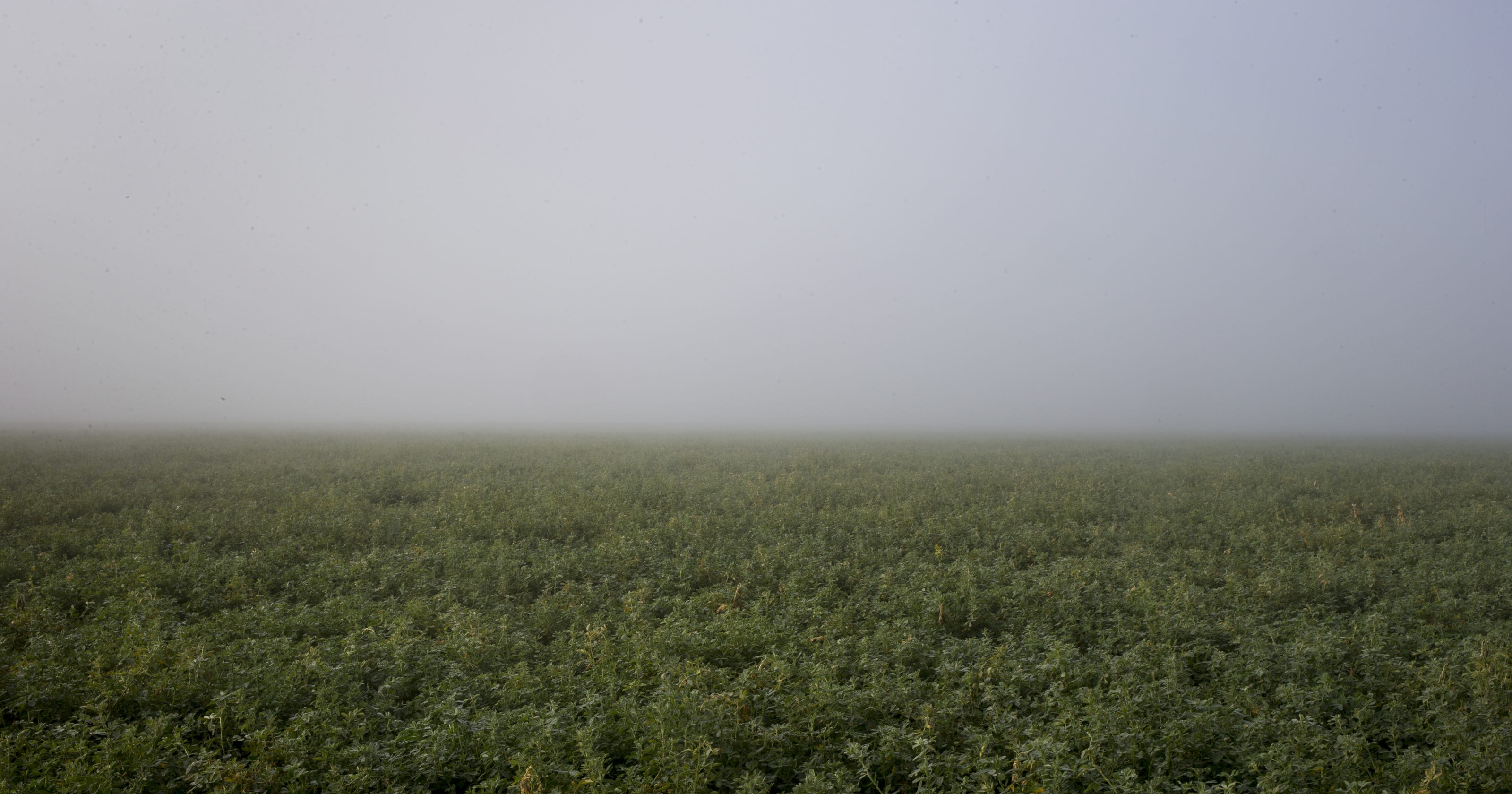 Pinal County has plenty of water for the next 100 years. We just need to prioritize demand - AZCentral