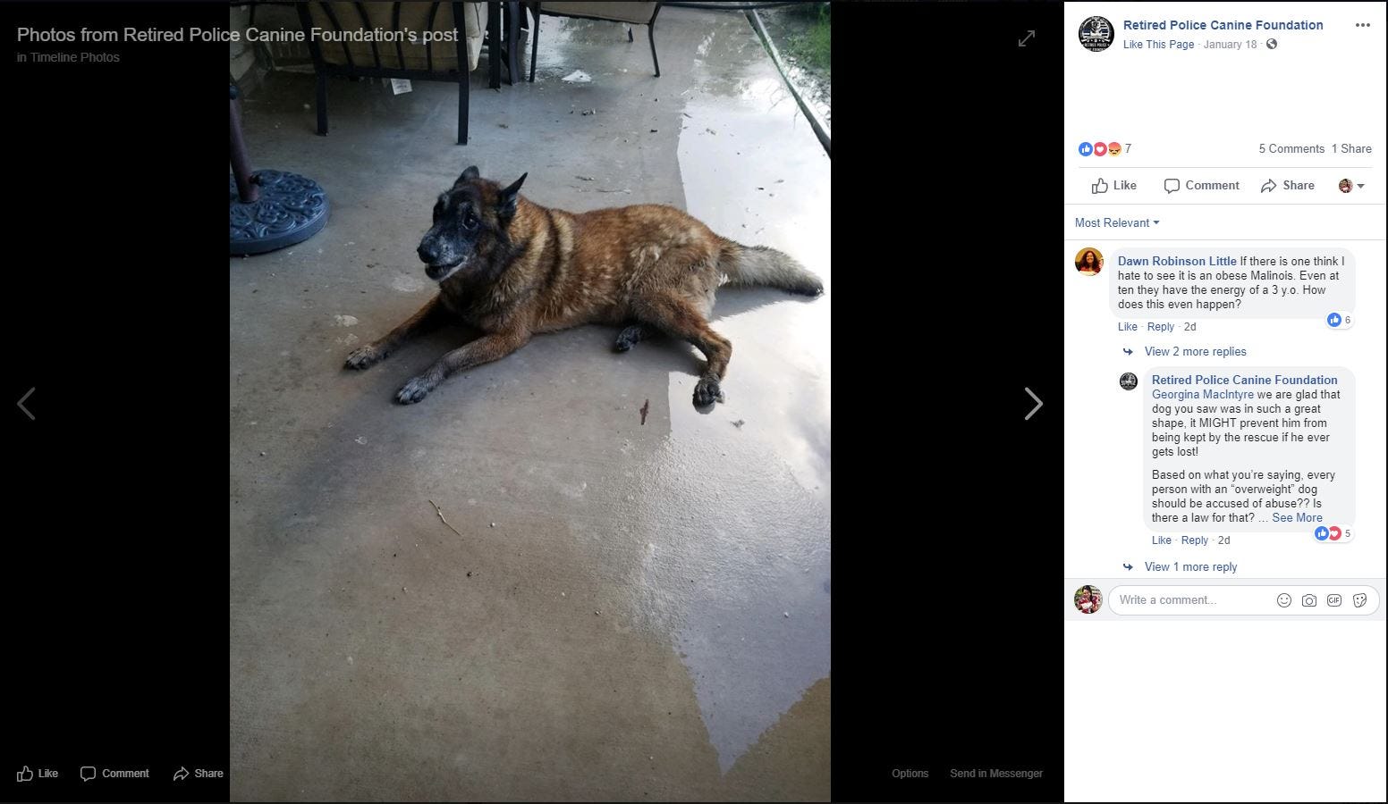 retired police canine foundation