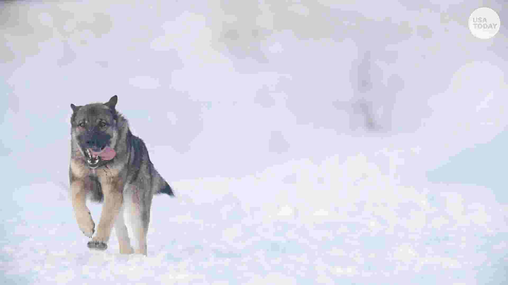 Wisconsin Weather Polar Vortex Brings Extreme Cold How To