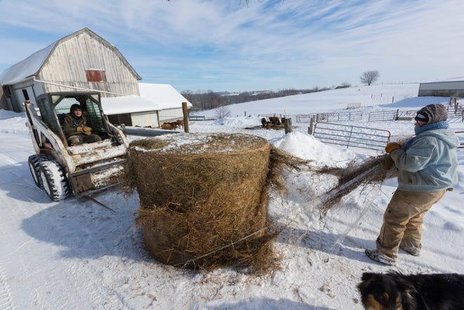 Emily Harris (left) and her wife, Brandi, move a bale of hay Sunday on their small organic dairy farm in Monroe.