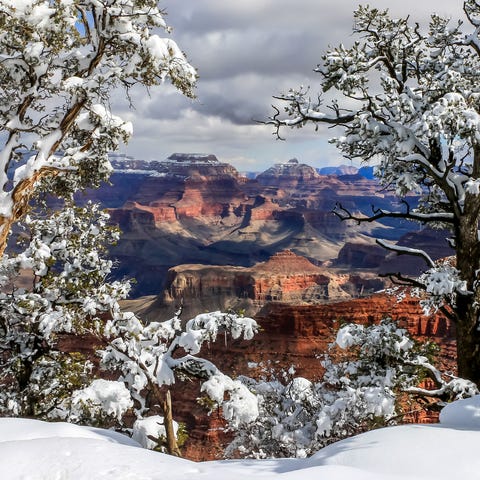 Although the Grand Canyon's North Rim is closed...