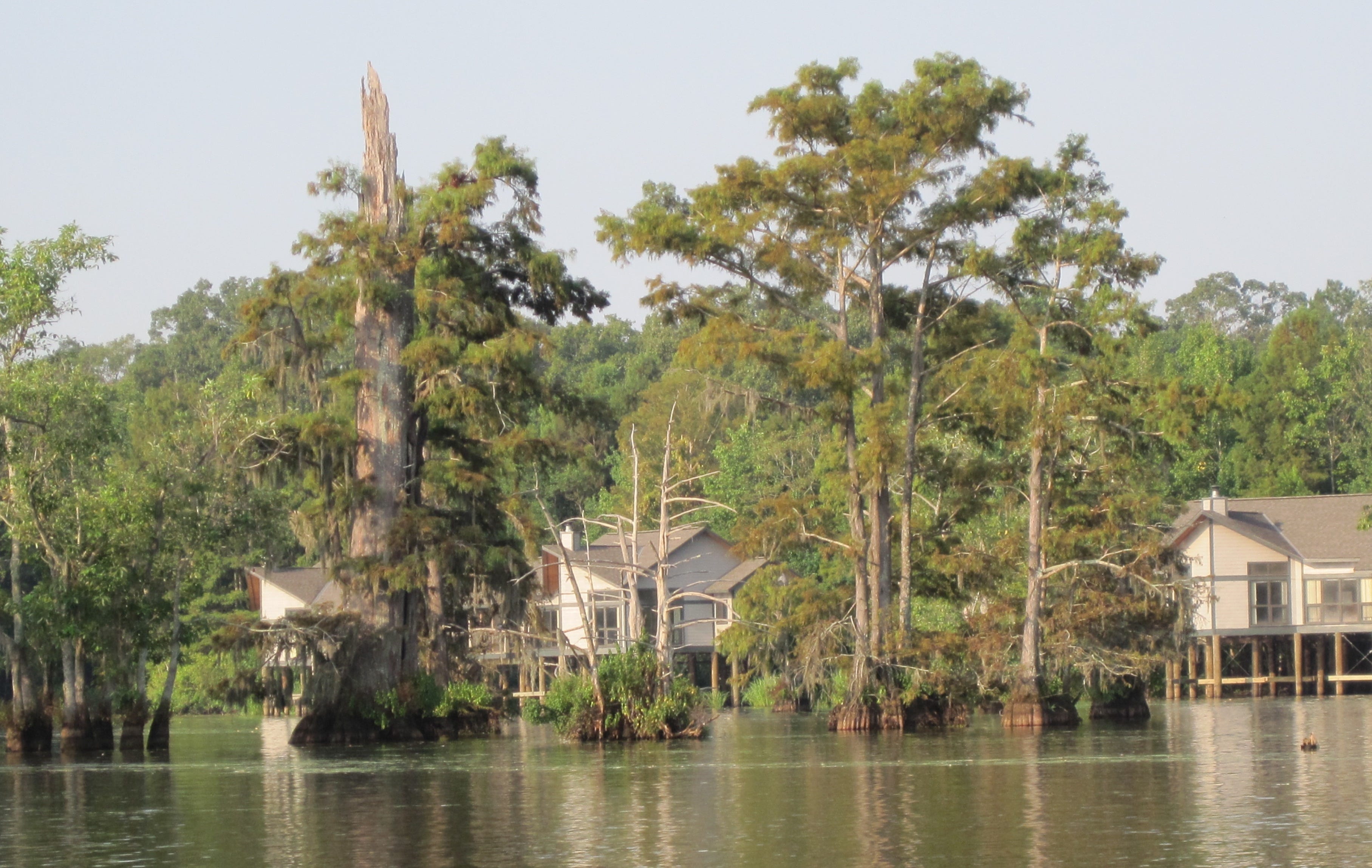 Coronavirus Louisiana Turns Three State Parks Into Quarantine Sites