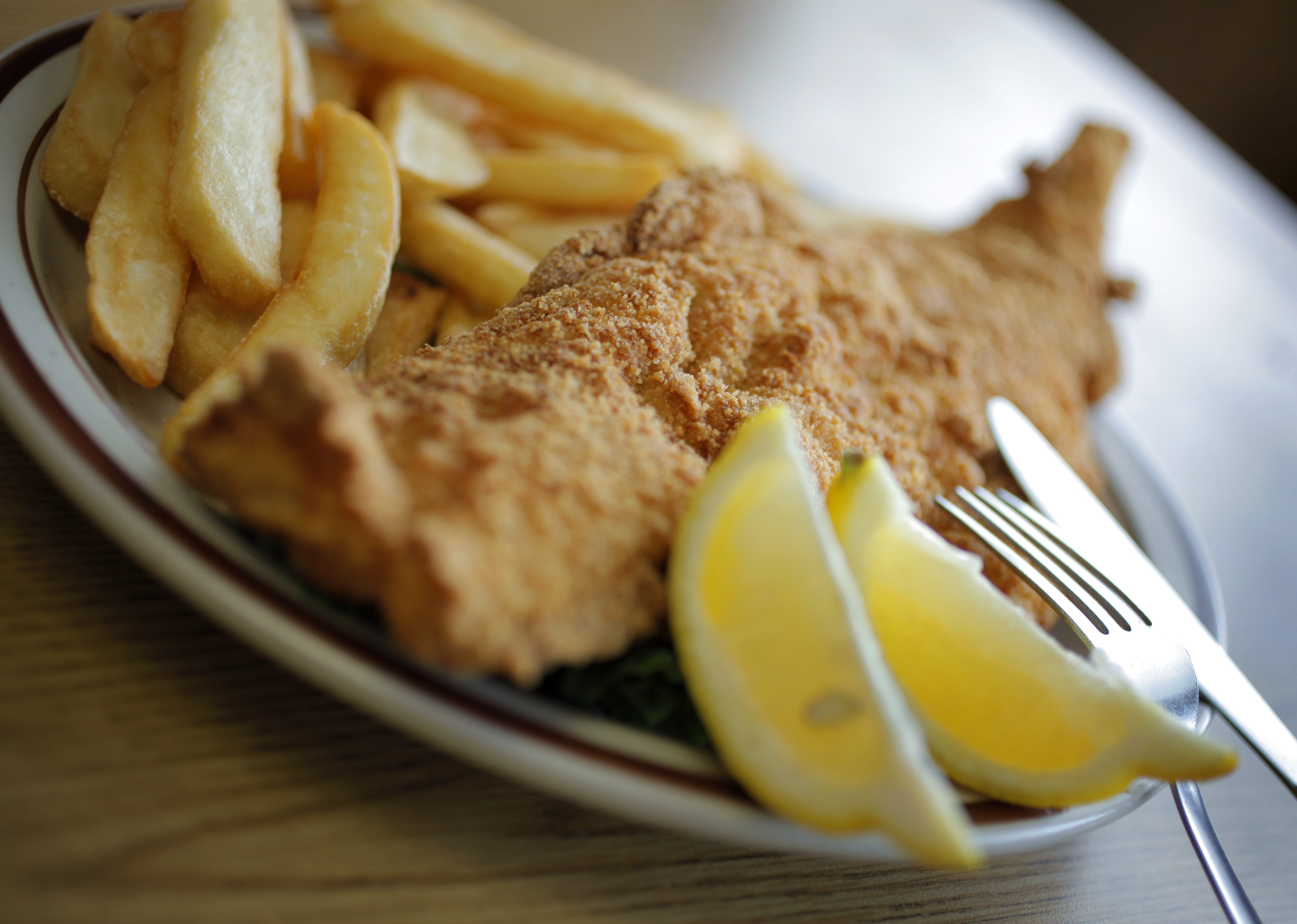 What is the best fish fry in Rochester NY?